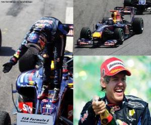 yapboz Sebastian Vettel Brezilya Grand Prix (2010) de zaferini kutluyor